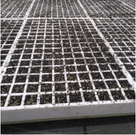 1515667630924998Q5HY.png blob.png