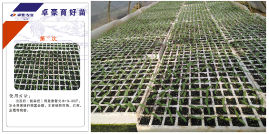 1515668172312489b4ta.png blob.png