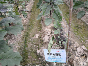 1515670082793316k1JI.png blob.png