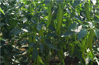 1539072984434511F7rs.png 圖片1.png